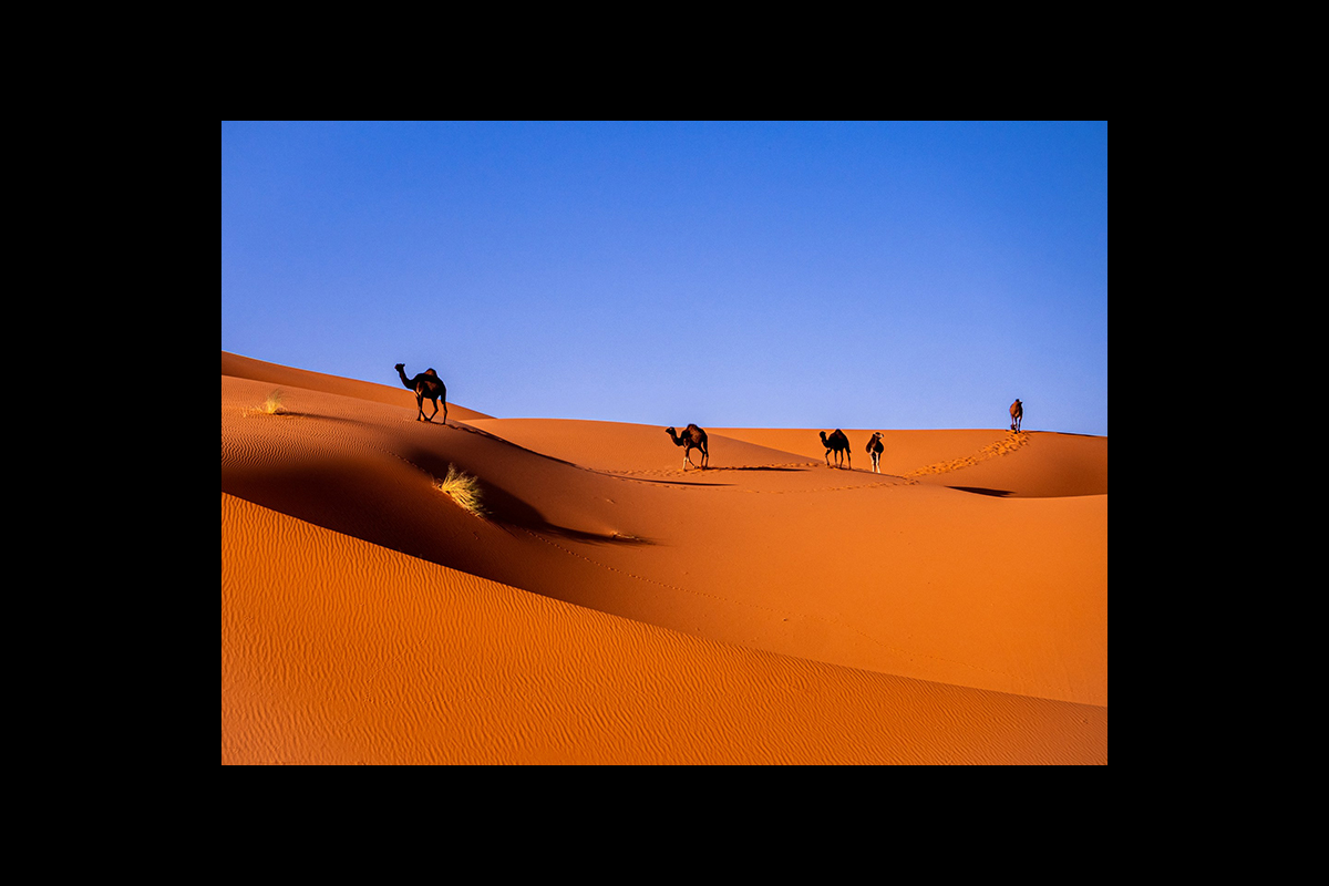 MOKA와의 세계여행 5