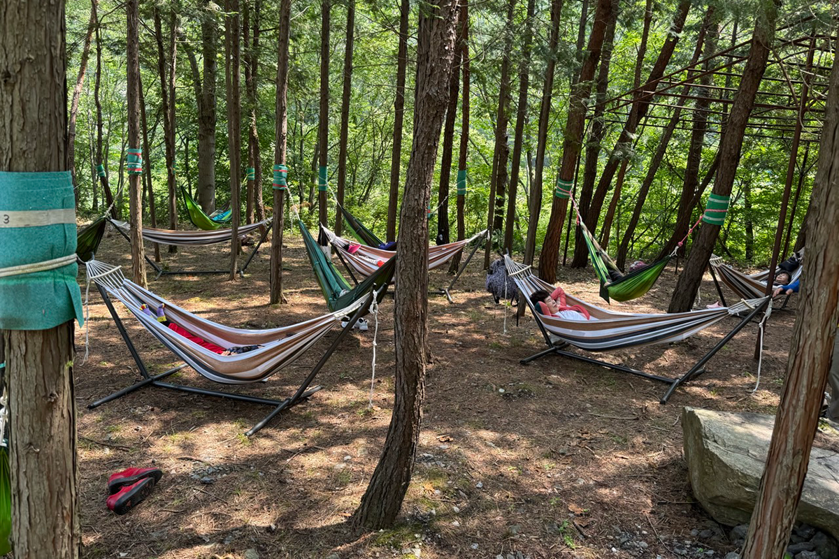 알록달록 가을 숲 소풍5