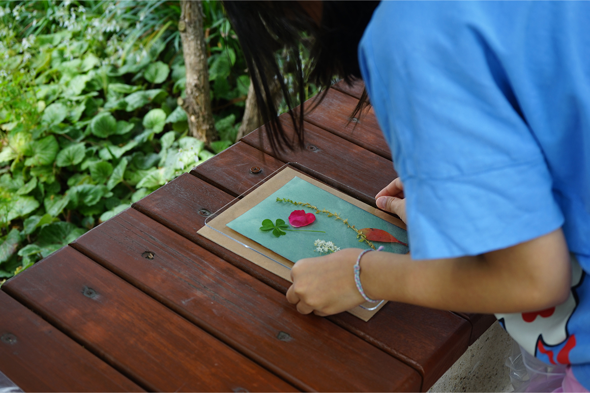 자연을 담은 빛 활동 사진