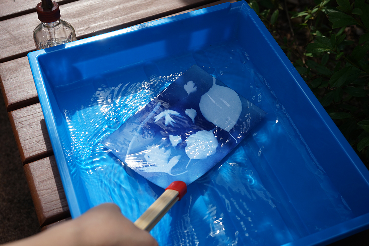 자연을 담은 빛 활동 사진