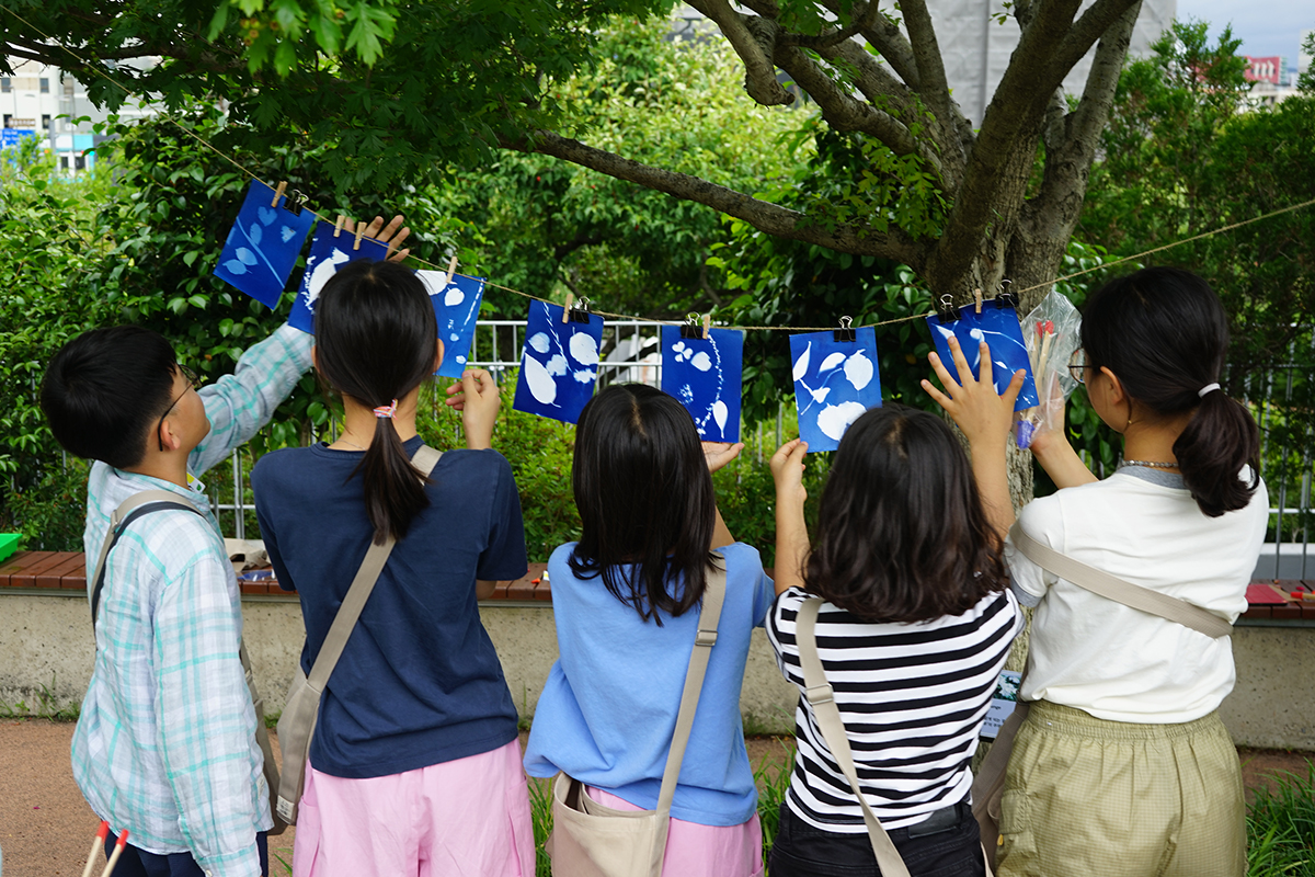 자연을 담은 빛 활동 사진